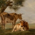 Johannes Janson